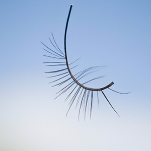 A close-up of a pair of eyelashes curling up towards the sky.