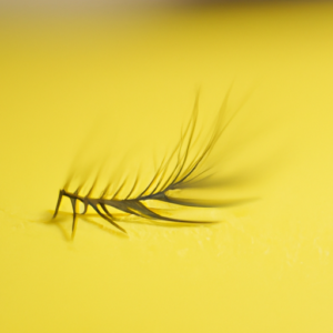 A close-up of an eyelash with a bright yellow background.