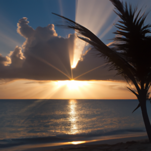 A tropical beach sunset with a sunbeam shining through a palm tree.