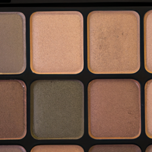 A close-up of a natural, earth-toned eyeshadow palette.