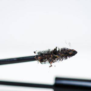A close-up of a mascara brush with clumps of mascara on the bristles.